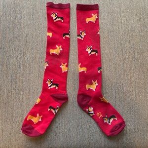 Corgi Socks!!!